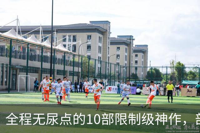 全程无尿点的10部限制级神作，部部大尺度，看完直接刷新认知
